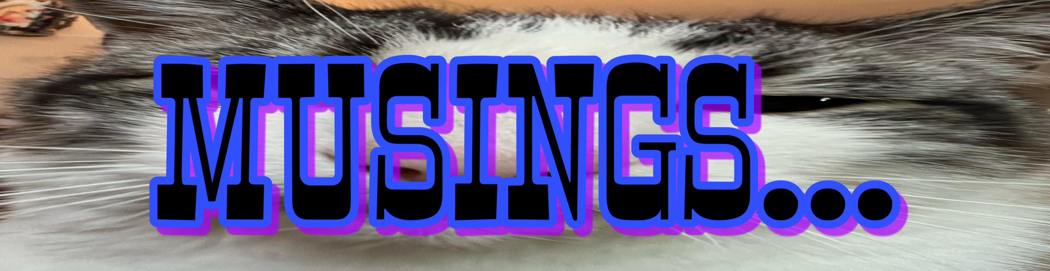 musings banner