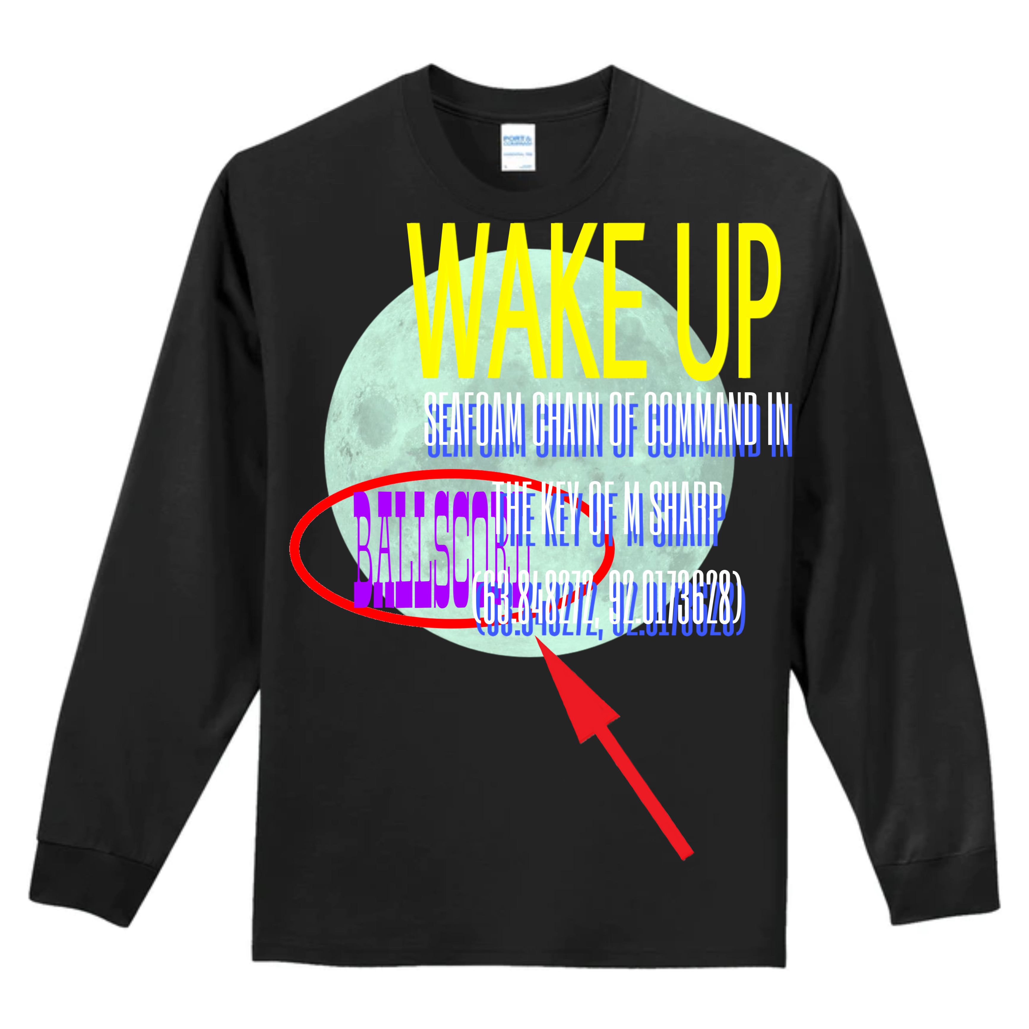 tee based on conspiracy theory imagery with the moon that says WAKE UP